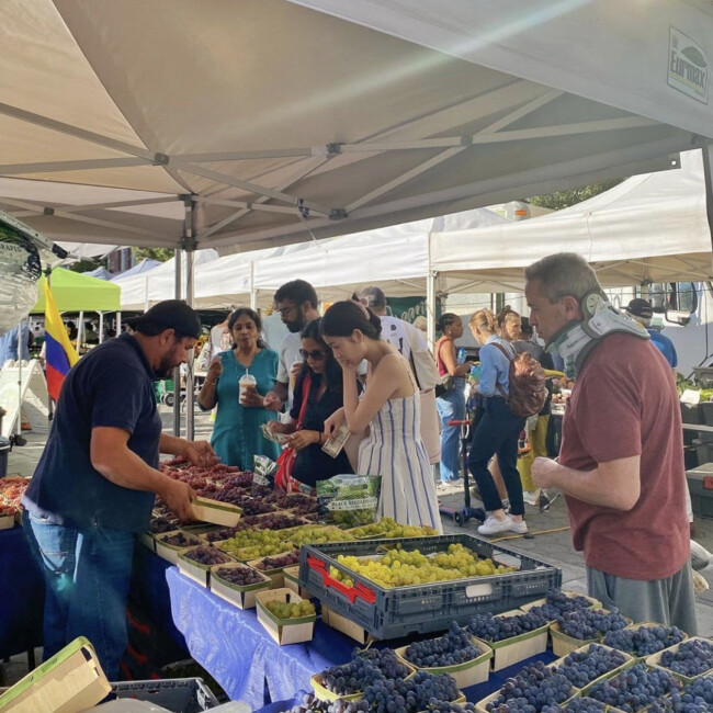 hdsid spring summer farmers market jersey city