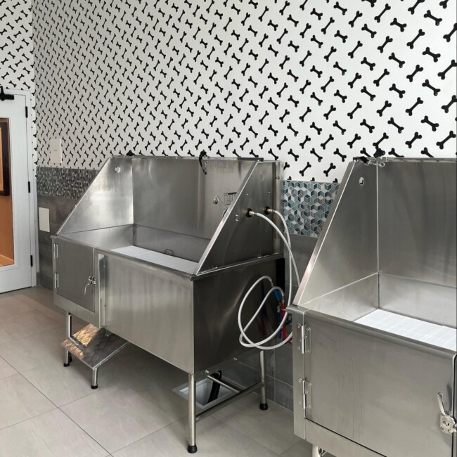 the ivy dog bath