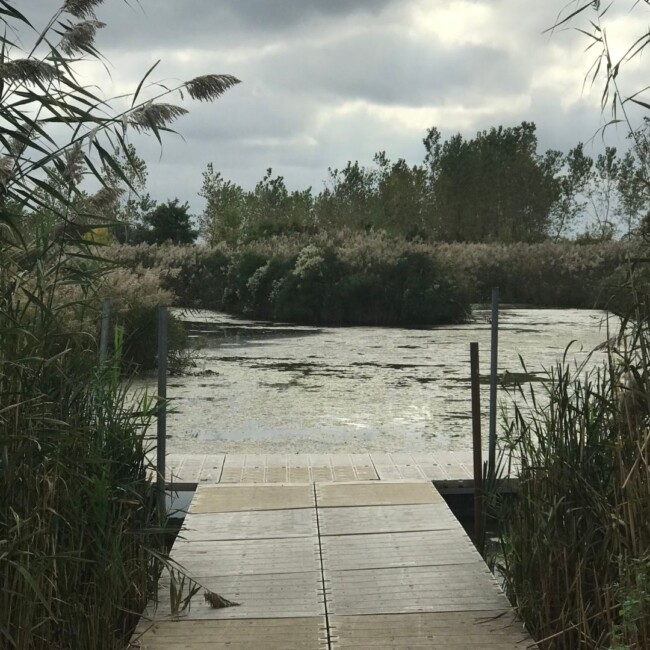 liberty state park jersey city updates 2024 salt marsh