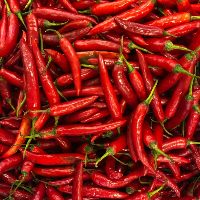 hoboken pepper festival 2024