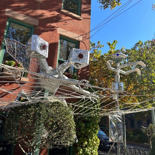 eleventh and garden 