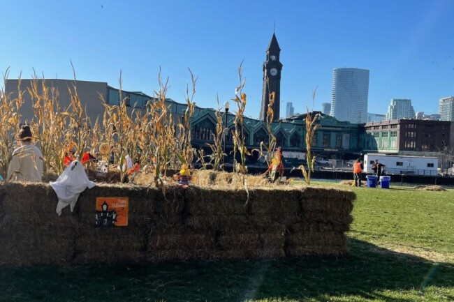 hoboken harvest festival october 2024