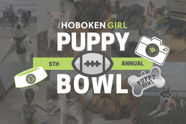 5th-annual-puppy-bowl-hoboken-girl