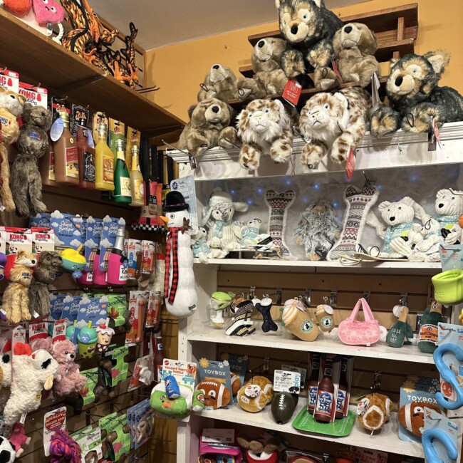 cornerstone pets