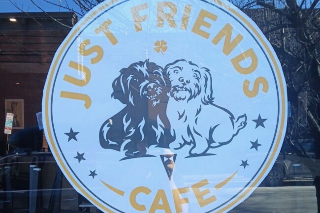 just friends jersey city