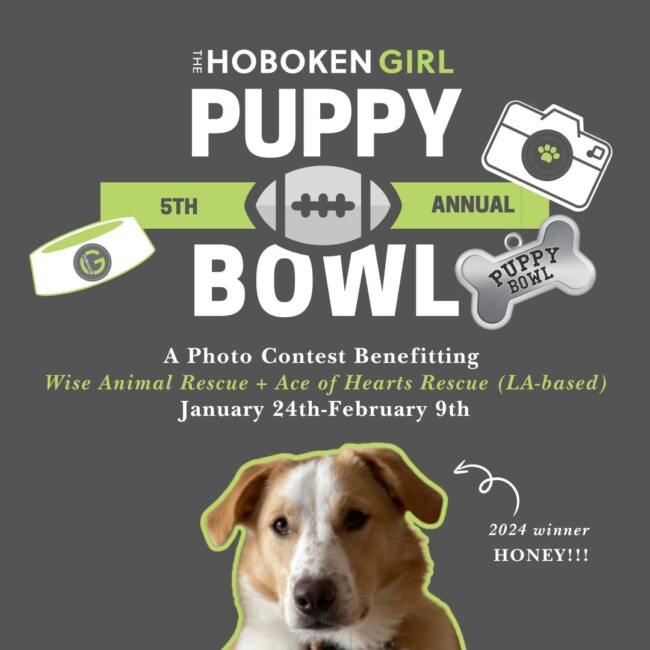 puppy bowl 2025