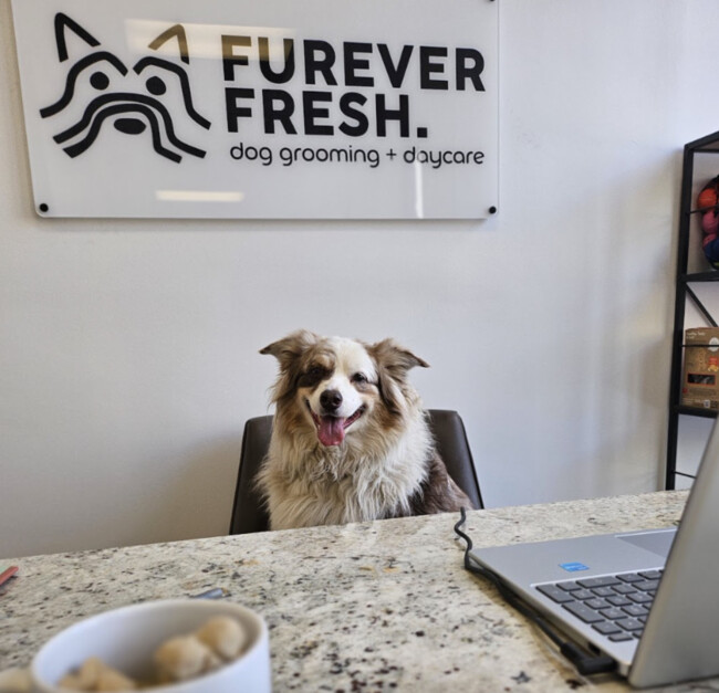 furever fresh jersey city