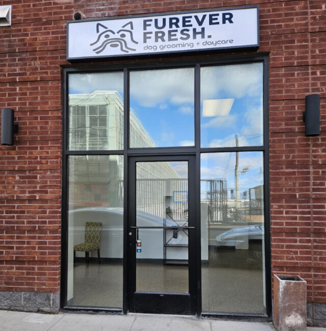 furever fresh jersey city