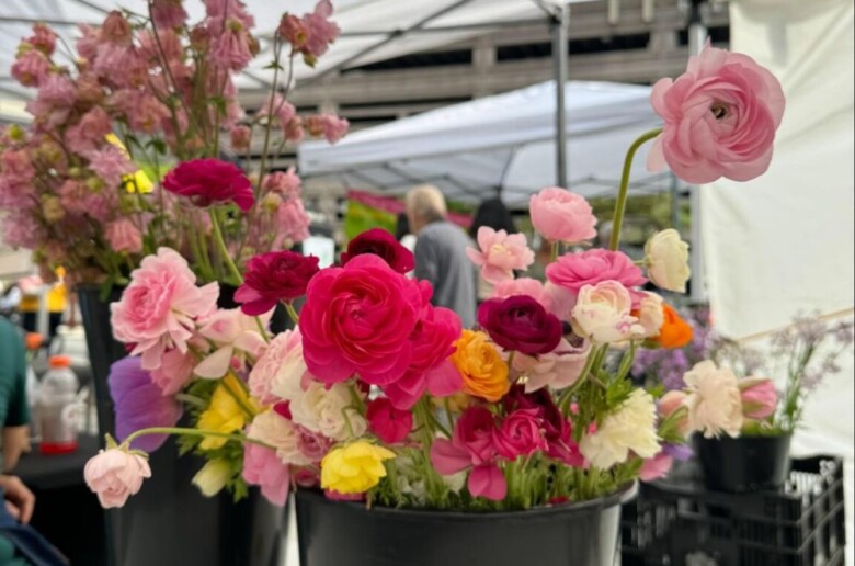 hdsid spring farmers market