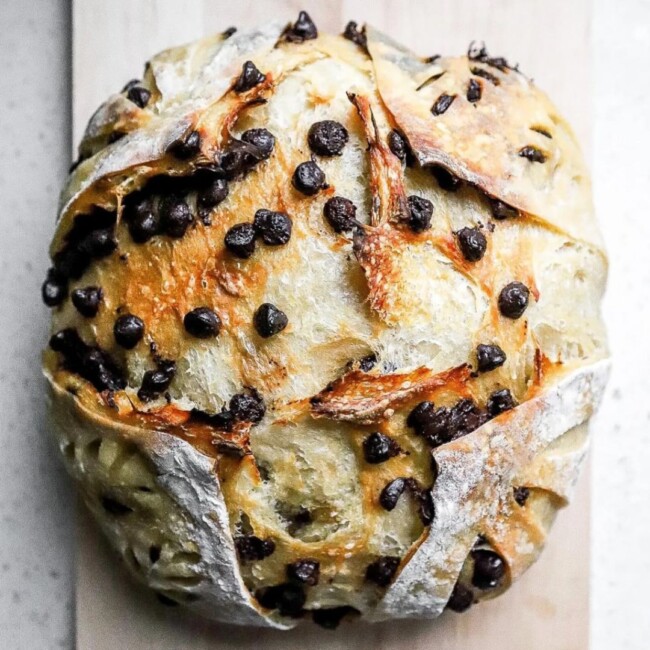 sourdough-society-jersey-city-nj