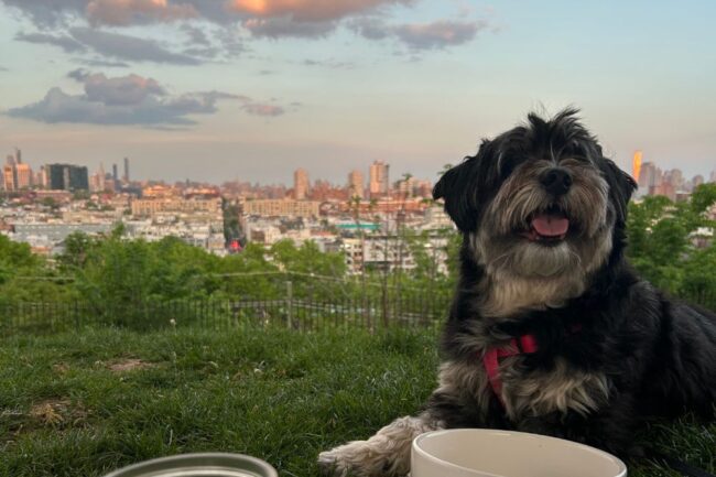 staycation hoboken