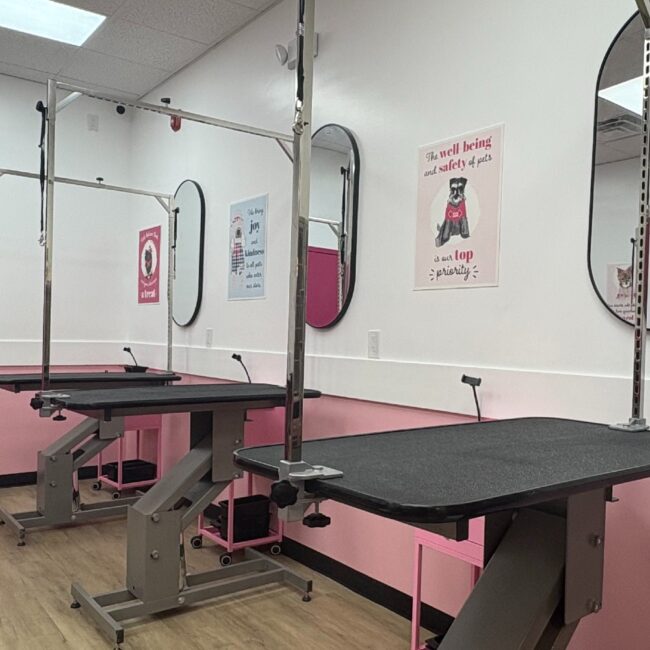 woof gang bakery grooming hoboken nj