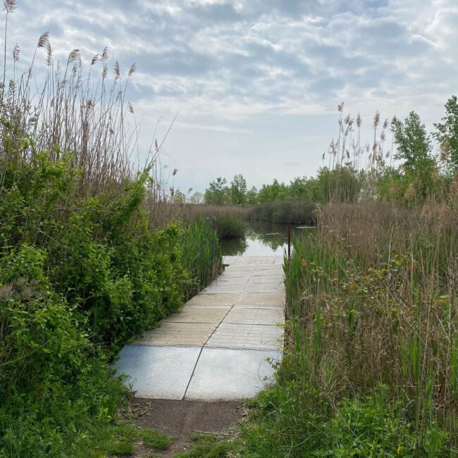 liberty state park jersey city nj