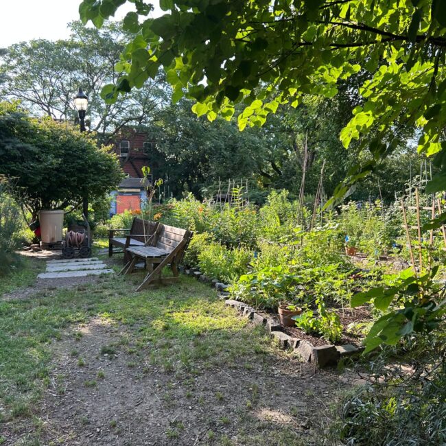 riverview community garden jersey city nj