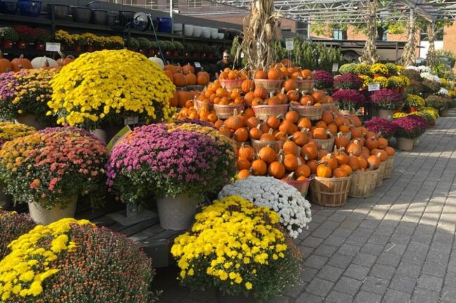 october events hoboken jersey city nj