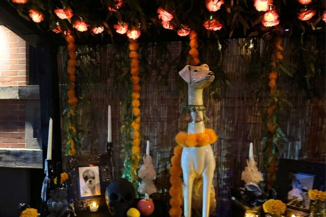 featured image size Day of the Dead
