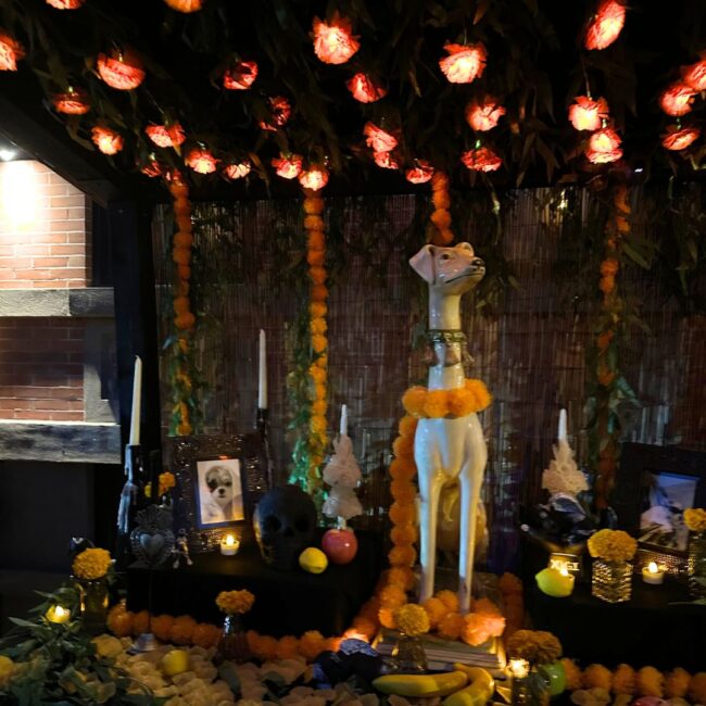 day of the dead pet altar