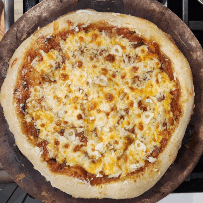 pizza made with sourdough society dough