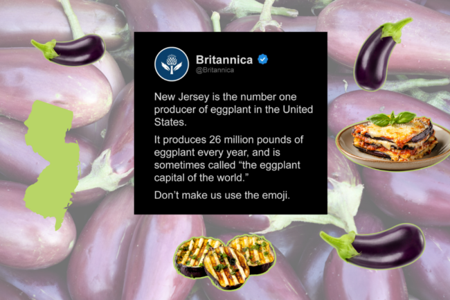 eggplants new jersey leader