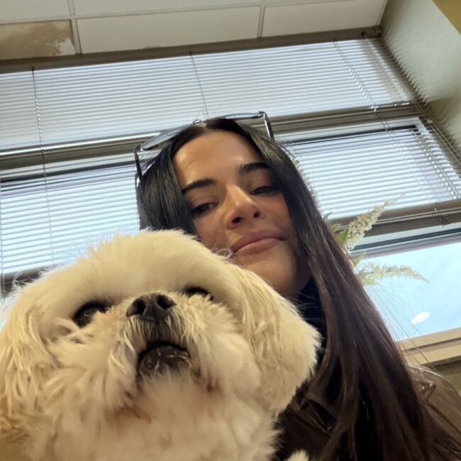 oradell animal hospital paramus nj