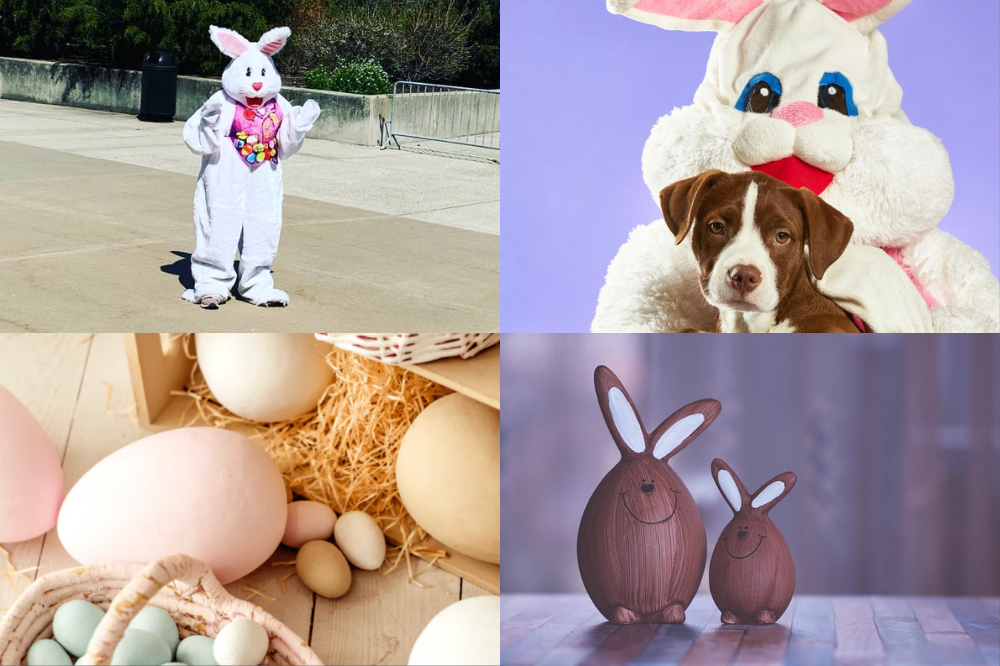 Easter Bunny Events in Hoboken and Jersey City Featured Image