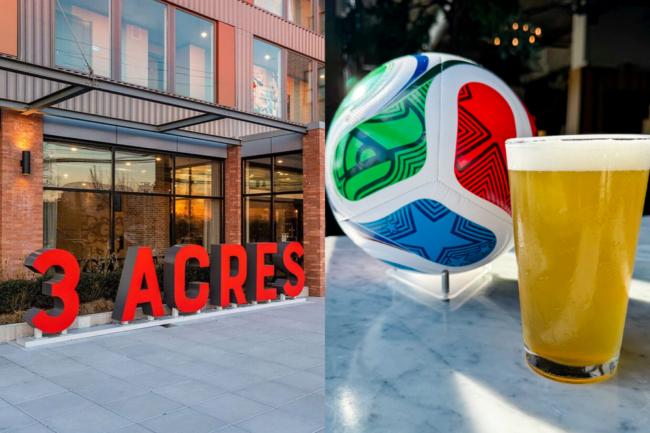 3 acres world cup final