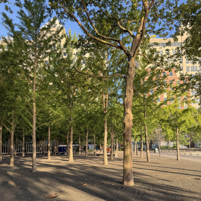 hoboken parks